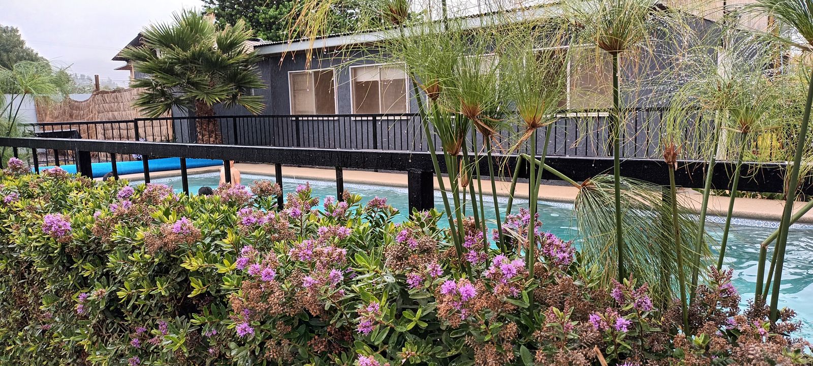 Áreas verdes piscina
